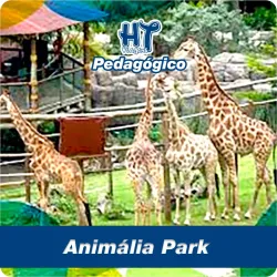 Imagens do produto Pedag�gico Anim�lia Park - Chalupe 2026