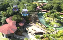 Imagens do produto Pedag�gico Anim�lia Park - Chalupe 2026