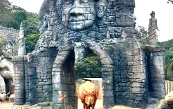 Imagens do produto Pedag�gico Anim�lia Park - Chalupe 2026