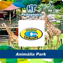 Imagem do produto Pedag�gico Anim�lia Park - Chalupe 2026