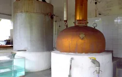 Imagens do produto Pedag�gico Bananal - Poliedro SJC 2026