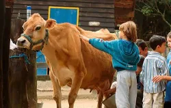 Imagens do produto Pedag�gico PetZoo - Chalupe 2026