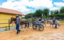 Imagens do produto Pedag�gico PetZoo - Chalupe 2026